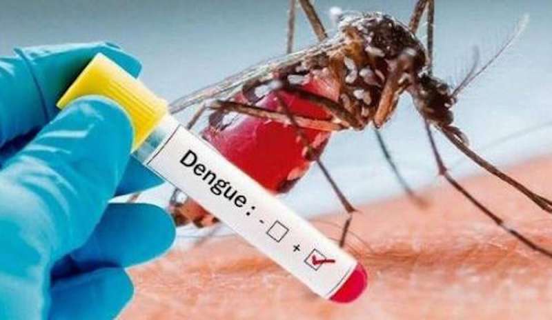 dengue veneto 1 caso