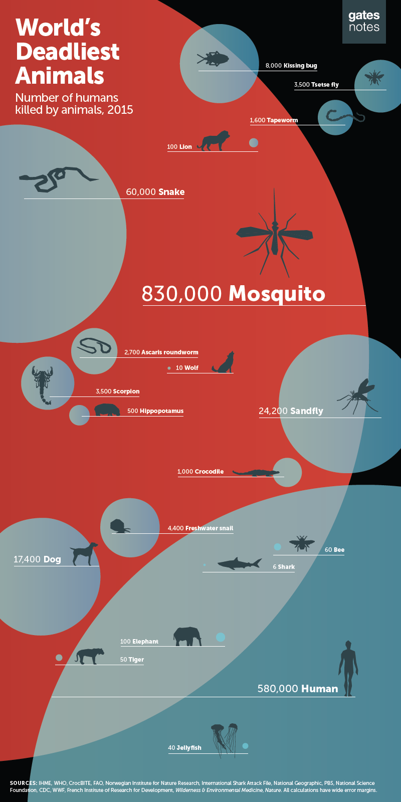 WDA Mosquitos 2015