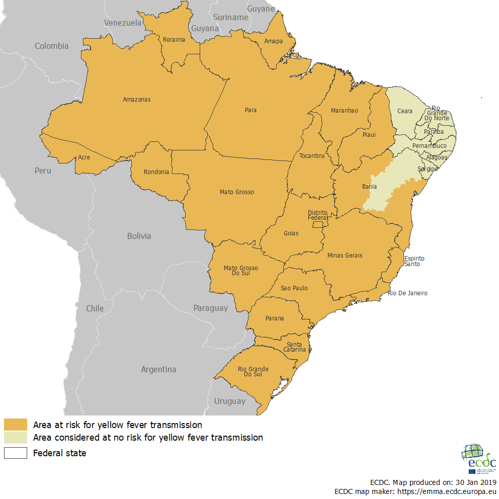 brazil yf area 2019