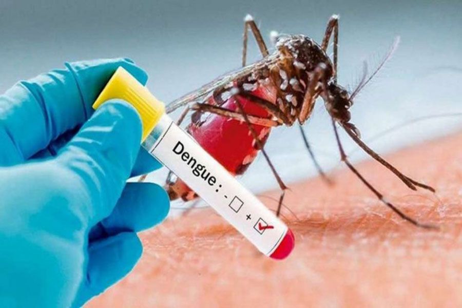 dengue py