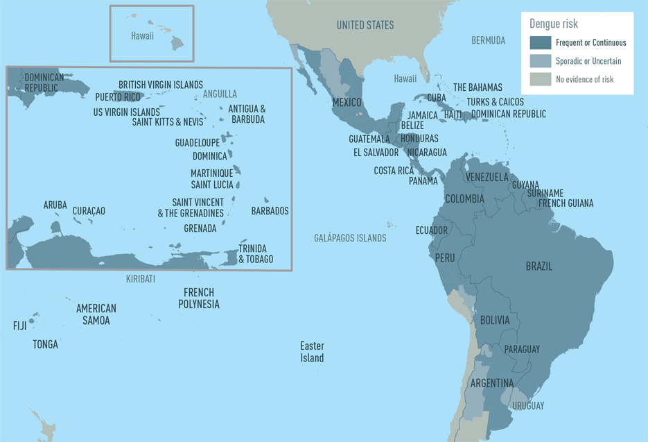 mappa rischio dengue americhe caraibi