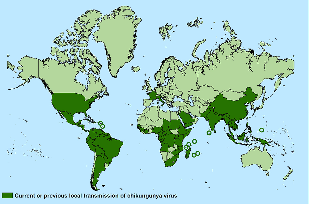 chik world map 30102020